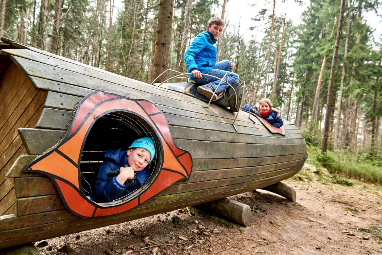 Ferienhaus Winterbergblick, Saechsische Schweiz Hinterhermsdorf Bagian luar foto